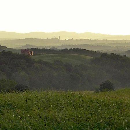 Agriturismo San Fabio Castelnuovo Berardenga Dış mekan fotoğraf