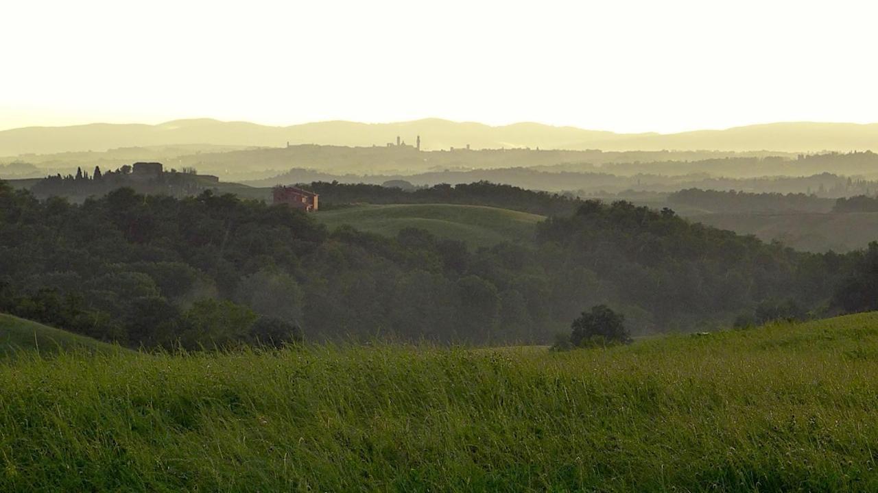 Agriturismo San Fabio Castelnuovo Berardenga Dış mekan fotoğraf